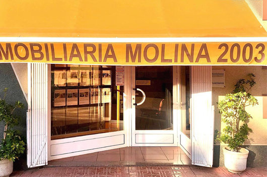 Inmobiliaria Molina 2003